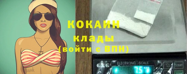 бошки Вязьма