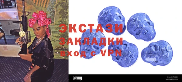 гашик Новодвинск