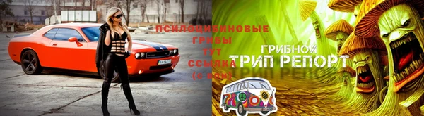 jwh Осинники