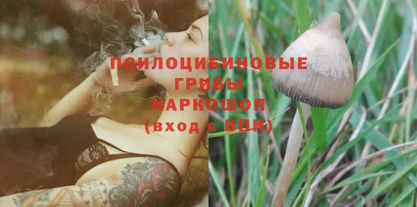 твердый Нефтегорск