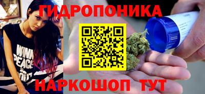 прущие грибы Балаково