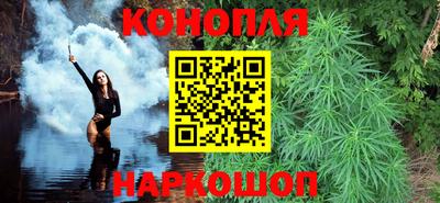 прущие грибы Балаково