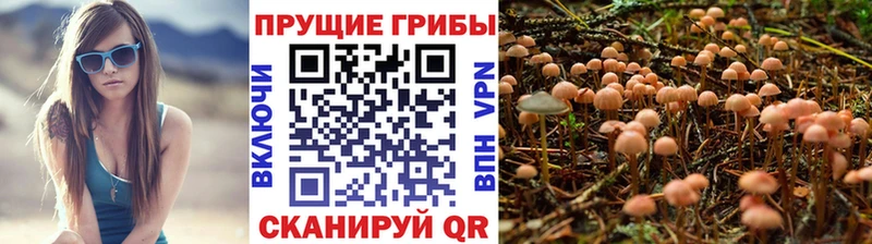 Псилоцибиновые грибы MAGIC MUSHROOMS  Кирово-Чепецк 